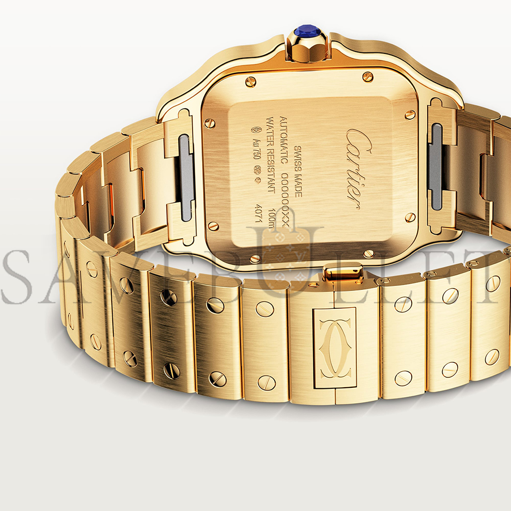 CARTIER SANTOS DE CARTIER WATCH Ref. WGSA0029 CARTIER SANTOS DE CARTIER WATCH Ref. WGSA0029